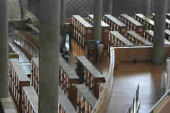Nova Biblioteca de Alexandria