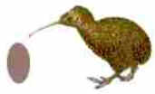 Ovos das Aves Ovos das Aves