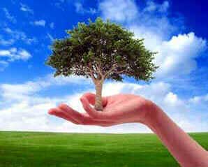 Proteção Ambiental