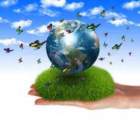 Proteção Ambiental