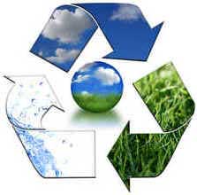 Proteção Ambiental
