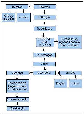 Produção da Cachaça