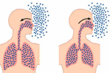 Respiração Pulmonar