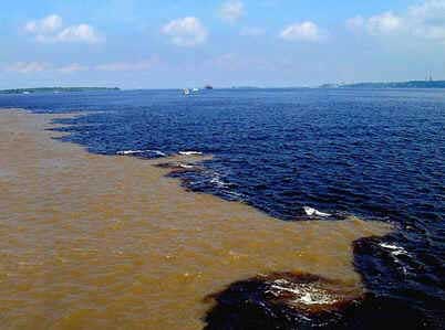 Rio Negro