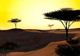 Savana