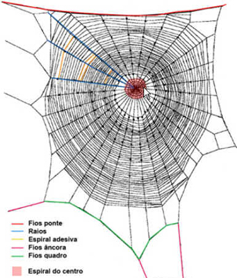 Teia de Aranha