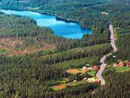 Taiga
