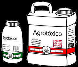 Transporte de Agrotóxicos