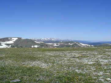 Tundra