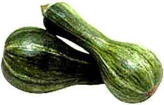 Abobrinha