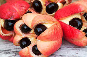 Akee