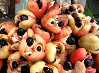 Akee