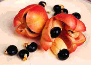 Akee