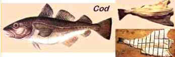 História do Bacalhau