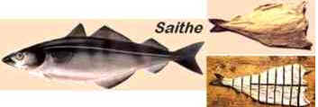 História do Bacalhau