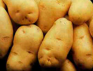 Batata