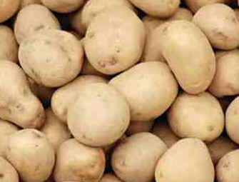 Batata