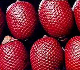 Buriti