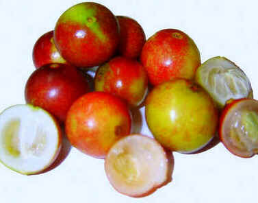 Camu-Camu