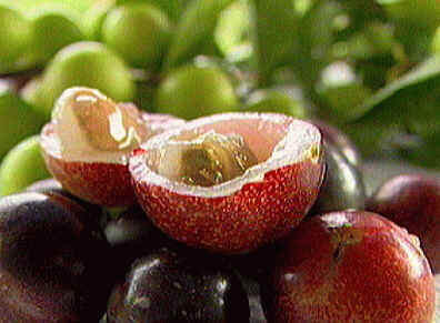 Camu-Camu
