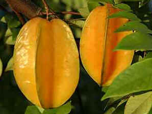 Carambola