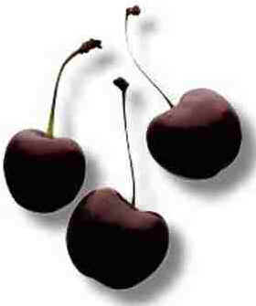 Cereja