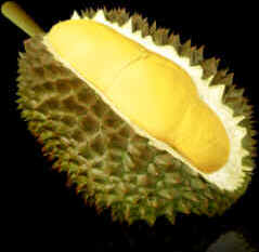 Durião