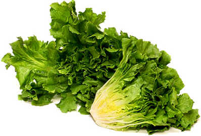 Escarola