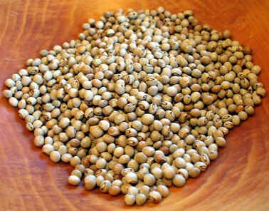 Feijão