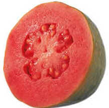 Goiaba