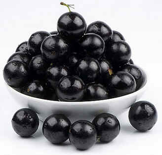 Jabuticaba