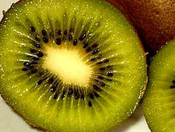 Kiwi Kiwi