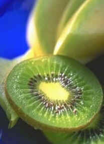 Kiwi Kiwi