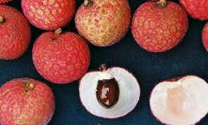 Lichia