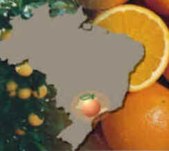 Laranja