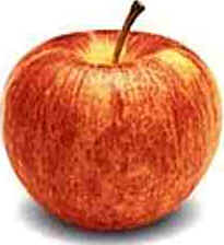 Maçã
