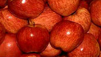 Maçã
