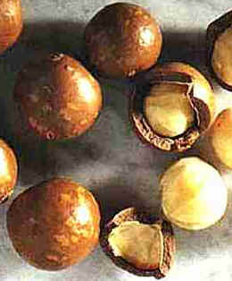 Macadâmia