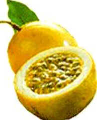 Maracujá