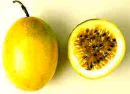 Maracujá