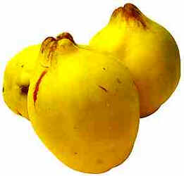 Marmelo