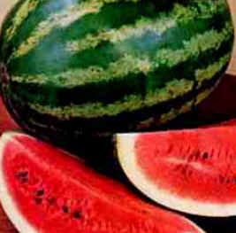 Melancia