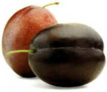Nectarina
