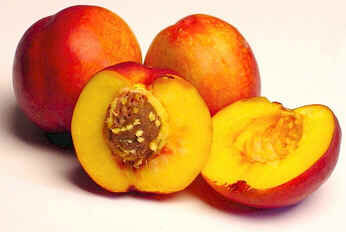 Nectarina
