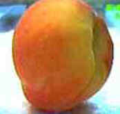Pêssego