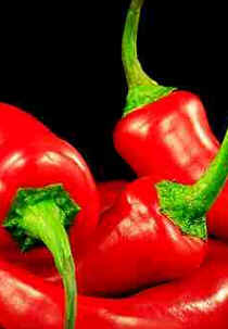 Pimenta