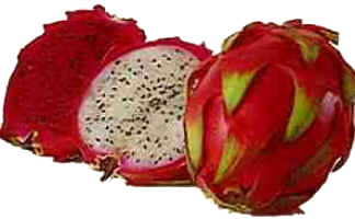 Pitaia