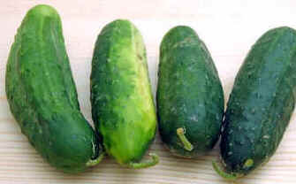 Pepino