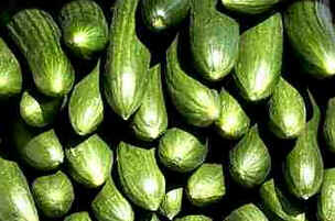 Pepino
