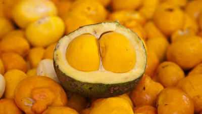 Pequi